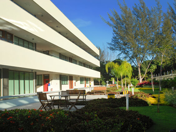 british school
